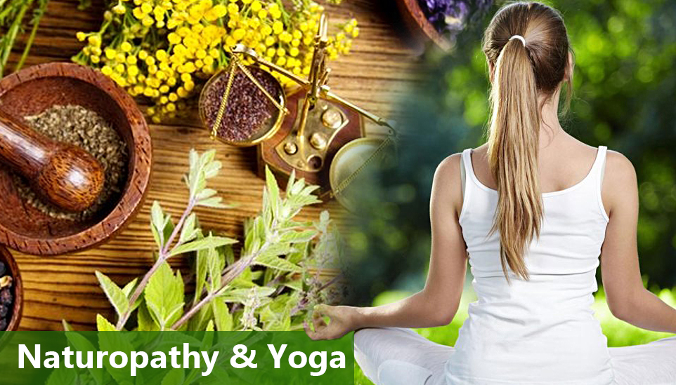 Ayurveda & Panchakarma